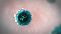 Handout image shows a vector used to transport the healthy gene into the patient's cells