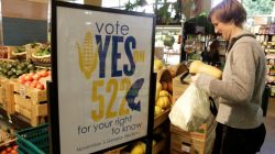 A customer picks up produce near a sign supporting a ballot initiative in Washington state that would require labelling of foods containing genetically modified crops at the Central Co-op in Seattle, Washington October 29, 2013. REUTERS/Jason Redmond