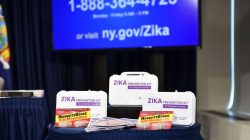 Zika prevention kit for pregnant women