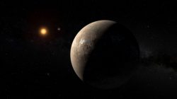 The planet Proxima b orbiting the red dwarf star Proxima Centauri, the closest star to our Solar System, is seen in an undated artist's impression released by the European Southern Observatory