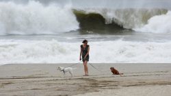 A woman walks her dog at Rockaway Beach in Queens, New York on Labor Day while high waves reached the shore due to post-tropical cyclone Hermine which tracked off the east coast of the U.S.