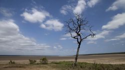 Lake St Lucia is almost completely dry due to drought conditions in the iSimangaliso Wetland Park, northeast of Durban, South Africa