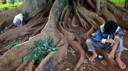 Men inject heroin into their arms along a street in Man Sam, northern Shan state, Myanmar