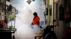 A city worker fumigates the area to control the spread of mosquitoes at a university in Bangkok, Thailand,