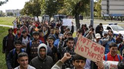 Several hundred refugees and migrants walk heading in the direction of the Hungarian border, in Belgrade, Serbia
