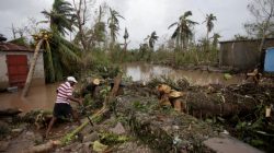 A man cuts branches off fallen trees in a flooded area by a river after Hurricane Matthew in Les Cayes, Haiti,