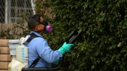 County vector sprays neighborhood for mosquitos with Zika