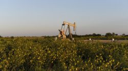 A pump jack operates at a well site leased by Devon Energy Production Company near Guthrie, Oklahoma