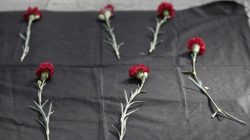 Carnations are seen placed on the ground during a protest against explosions at a peace march in Ankara, in central Istanbul, Turkey,