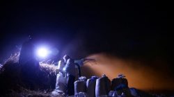 Farmers harvest wheat in a field at night, fearing shelling in daylight, in the rebel held besieged town of Douma, eastern Ghouta in Damascus, Syria early morning
