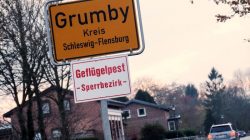 A car drives past the town sign in the northern German village of Grumby, Germany, with the "Bird Flu - off limits area" warning notice