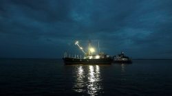 A boat is seen near the Bluefields Port after Hurricane Otto hit southern Nicaragua at Bluefields, Nicaragu