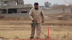 A member of a demining team searches for landmines in Khazer, Iraq