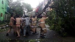 Policemen remove a tree that fell on a road after it was uprooted by strong winds in Chennai, India,