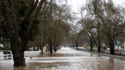 Flooded street in Calfornia