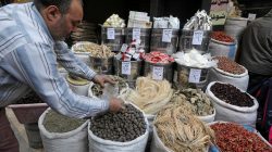 Herbal medicine worker taking spices to make medicine