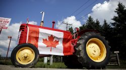 FILE PHOTO: An old tractor sporting a Canadian national flag is seen parked in the rural township of Oro-Medonte, Ontario July 26, 2015. REUTERS/Chris Helgren/File Photo