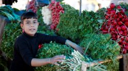 Falah, 11, sells vegetables and fruits in a market in eastern Mosul, Iraq April 20, 2017. REUTERS/ Muhammad Hamed
