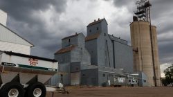 A grain elevator is seen just behind the Union County Courthouse in Elk Point, South Dakota, U.S. June 3, 2017. Picture taken June 3, 2017. REUTERS/Ryan Henriksen
