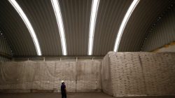 A worker looks to sacks filled with sugar at Emiliano Zapata sugar mill in Zacatepec de Hidalgo, in Morelos state, Mexico, March 7, 2015. Picture taken on March 7, 2015. REUTERS/Edgard Garrido
