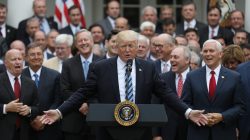 President Donald Trump (C) gathers with Vice President Mike Pence (R) and Congressional Republicans in the Rose Garden of the White House after the House of Representatives approved the American Healthcare Act, to repeal major parts of Obamacare and replace it with the Republican healthcare plan, May 4, 2017.