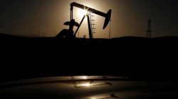 A pump jack is seen at sunrise near Bakersfield, California October 14, 2014. REUTERS/Lucy Nicholson/File Photo