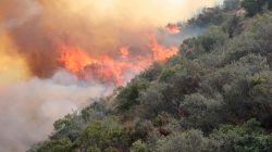 The La Tuna Canyon fire has burned 5,895 acres and is still at 10% contained in Burbank, California, September 3, 2017. REUTERS/Kyle Grillot