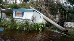 Factbox: Almost 6.9 million without power in U.S. Southeast after Irma - utilities