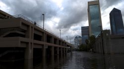 Officials urge patience as Florida towns re-open after Irma