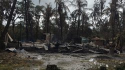 Eating leaves to survive in Myanmar's 'ethnic cleansing' zone