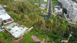 U.S. appoints general to oversee military response to Puerto Rico disaster
