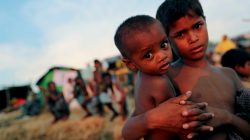 Bangladesh carving out forest land to shelter desperate Rohingya