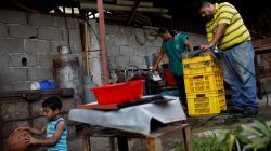 No visas, bad jobs: Venezuelan emigrants reluctantly return home