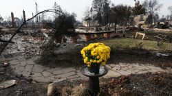Trailers could house those displaced by fires in California wine country