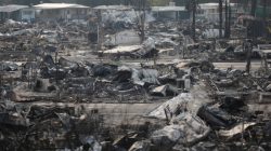 California Dept of Insurance estimates wildfires losses at $1.05 billion