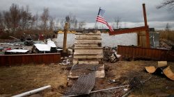 New York lets neighborhood return to nature to guard against storms