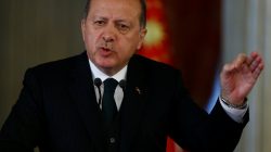 Turkey's Erdogan takes legal action after lawmaker calls him 'fascist dictator'