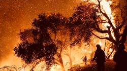 Firefighters knock down flames as they advance on homes atop Shepherd Mesa Road in Carpinteria, California, U.S. December 10, 2017. REUTERS/Mike Eliason/Santa Barbara County Fire