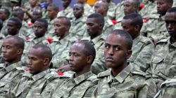 Exclusive: U.S. suspends aid to Somalia's battered military over graft