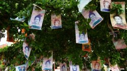 Bolivar notes a seen hanging in a tree at a street in Maracaibo, Venezuela November 11, 2017.