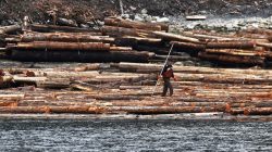 A log driver works a barge of Canadian logs at Squamish Mills Ltd in Howe Sound near Squamish, British Columbia, Canada, April 25, 2017.