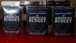 Copies of the President Trump's FY 2019 budget proposal are delivered to the U.S. House Budget Committee offices on Capitol Hill in Washington, U.S. February 12, 2018.