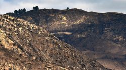 Barren hills, which were charred by the Thomas wildfire, are seen ahead of expected rainstorms in Montecito, California, U.S. February 26, 2018. Picture taken February 26, 2018. Mike Eliason/Santa Barbara County Fire/Handout via REUTERS