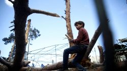 A child gathers wood in the besieged town of Douma, Eastern Ghouta, in Damascus, Syria March 9, 2018. REUTERS/Bassam Khabieh