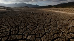 Sand blows across a normally submerged area at Theewaterskloof dam near Cape Town, South Africa, January 21, 2018. REUTERS/Mike Hutchings