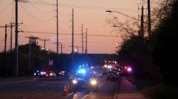 FILE PHOTO: Law enforcement personnel investigate an incident that they said involved an incendiary device in the 9800 block of Brodie Lane in Austin, Texas, U.S., March 20, 2018.REUTERS/Loren Elliott