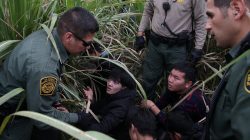 Border patrol agents apprehend immigrants who illegally crossed the border from Mexico into the U.S. in the Rio Grande Valley sector, near McAllen, Texas, U.S., April 3, 2018. REUTERS/Loren Elliott