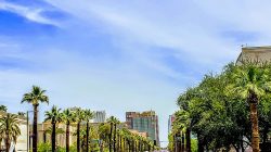 People march in front of the Capitol in Phoenix, Arizonia, U.S., April 26, 2018 in this picture obtained from social media. Jeremy Whittaker, City of Mesa Councilman/via REUTERS
