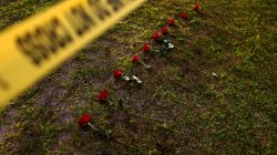 Ten roses are left in memory of the victims killed in a shooting at the Santa Fe High School in Santa Fe, Texas, U.S., May 20, 2018. REUTERS/Jonathan Bachman