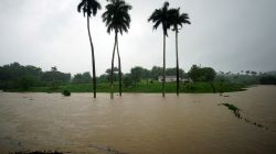 FILE PHOTO: A view of a partially flooded farm as Subtropical Storm Alberto passes by the west coast of Cuba, in Bahia Honda, Cuba, May 26, 2018. REUTERS/Alexandre Meneghini